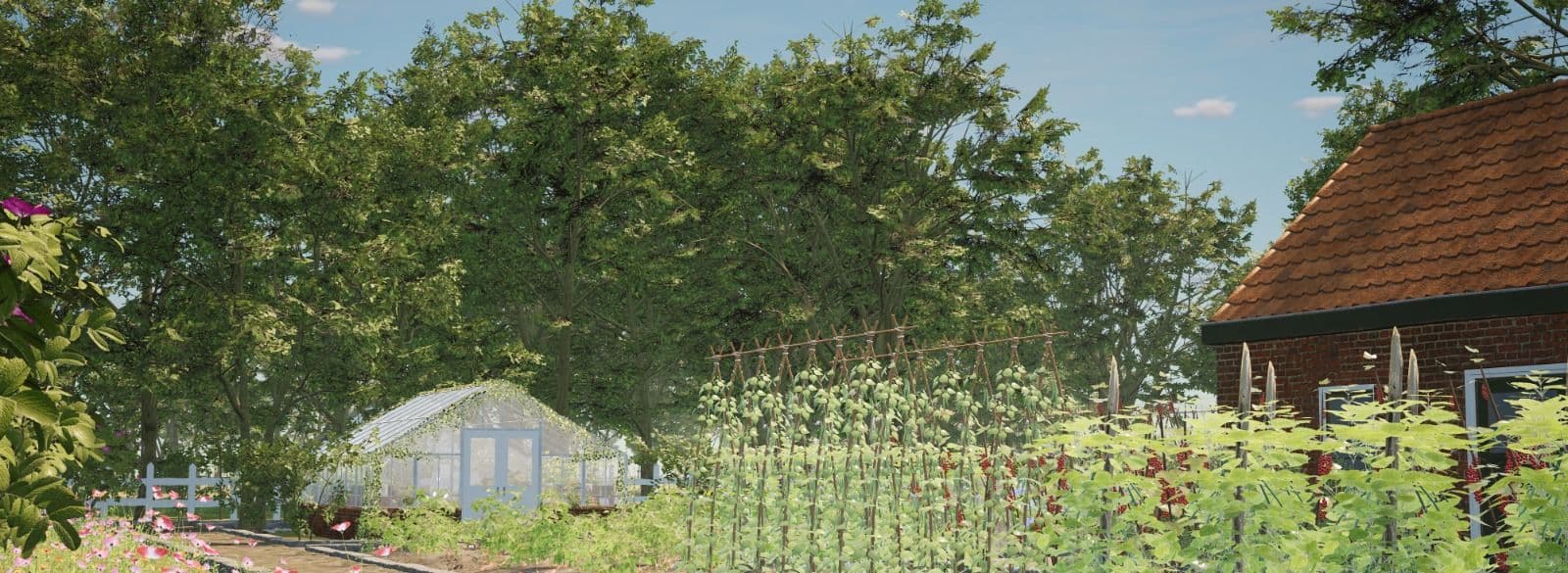 Ede Staal: mijn Groningen - mien Grunnen